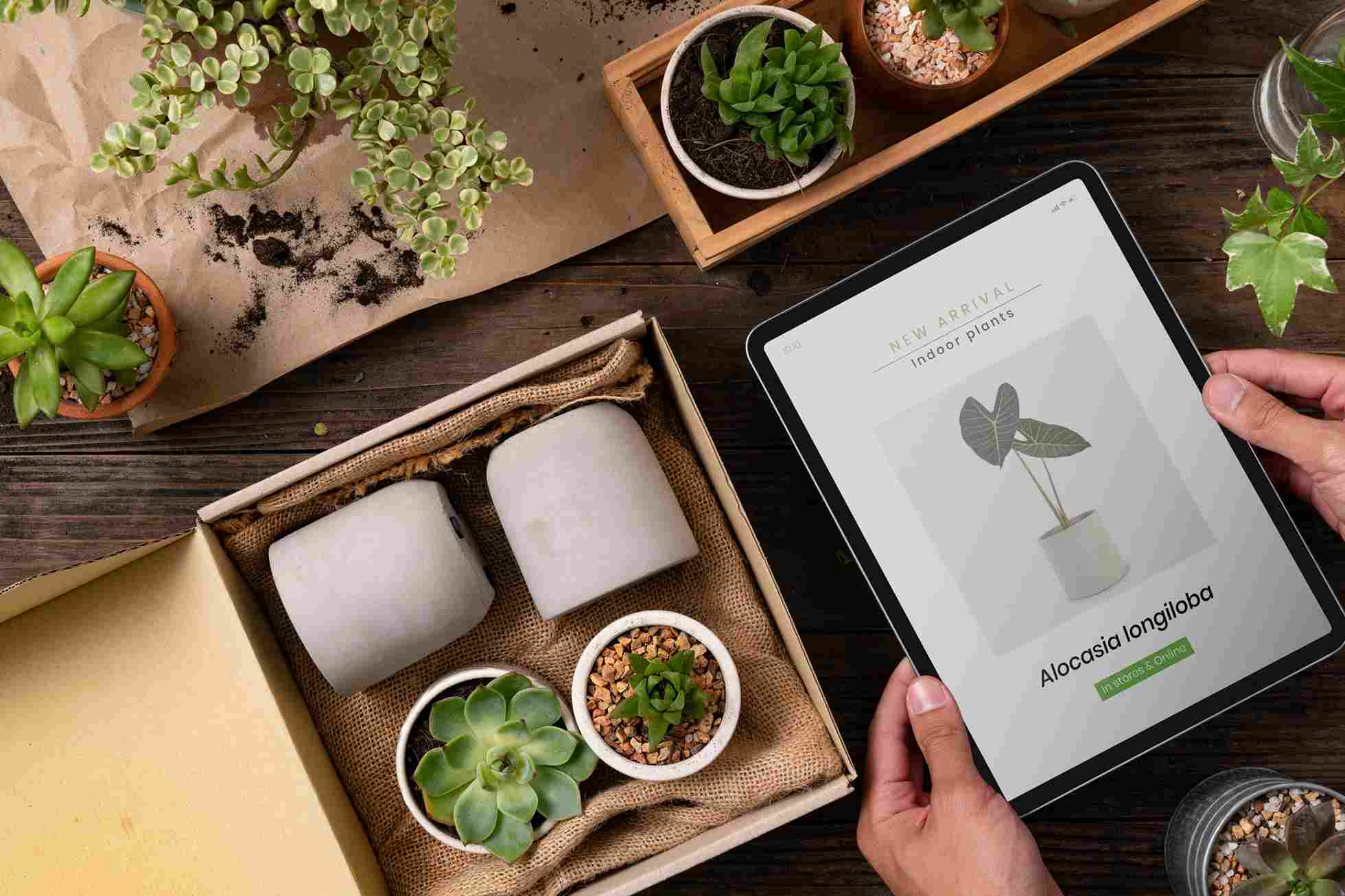 Garden Automation